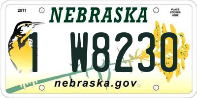 NE license plate 1W8230