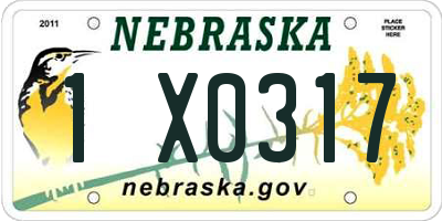 NE license plate 1X0317