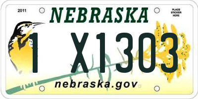 NE license plate 1X1303