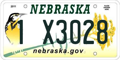 NE license plate 1X3028