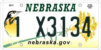 NE license plate 1X3134