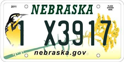 NE license plate 1X3917