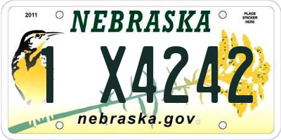NE license plate 1X4242