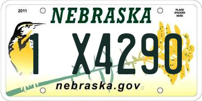 NE license plate 1X4290