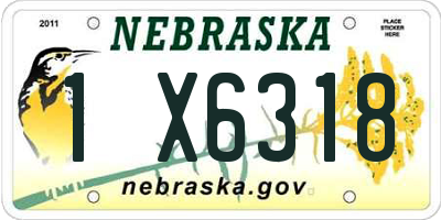 NE license plate 1X6318