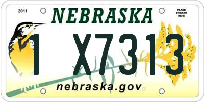 NE license plate 1X7313