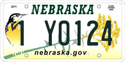 NE license plate 1Y0124