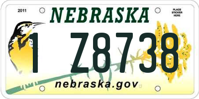 NE license plate 1Z8738