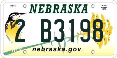 NE license plate 2B3198