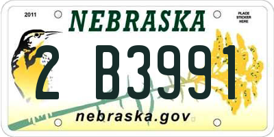 NE license plate 2B3991
