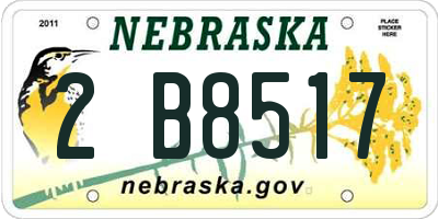 NE license plate 2B8517