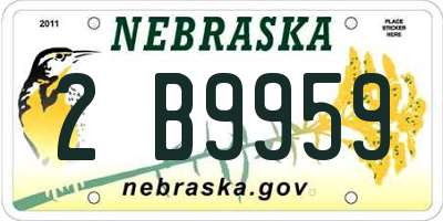 NE license plate 2B9959