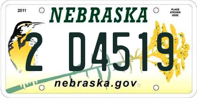 NE license plate 2D4519