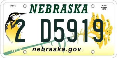 NE license plate 2D5919