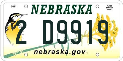 NE license plate 2D9919