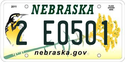 NE license plate 2E0501