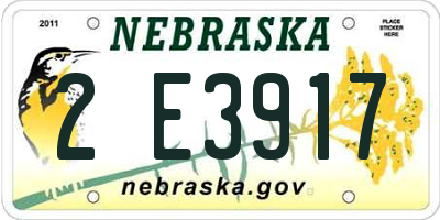 NE license plate 2E3917