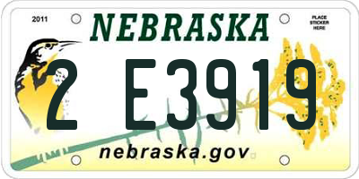 NE license plate 2E3919