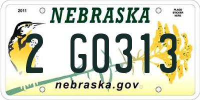 NE license plate 2G0313