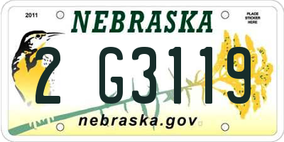 NE license plate 2G3119