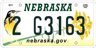 NE license plate 2G3163