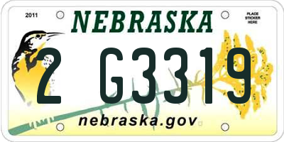 NE license plate 2G3319