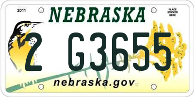 NE license plate 2G3655