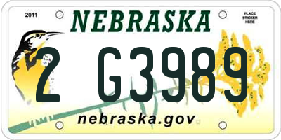 NE license plate 2G3989