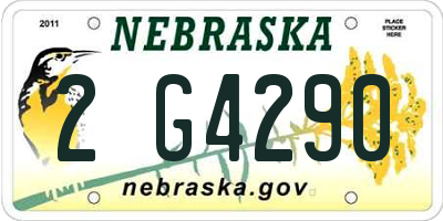 NE license plate 2G4290