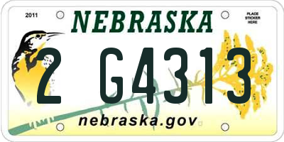 NE license plate 2G4313