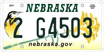 NE license plate 2G4503