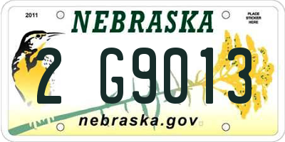 NE license plate 2G9013