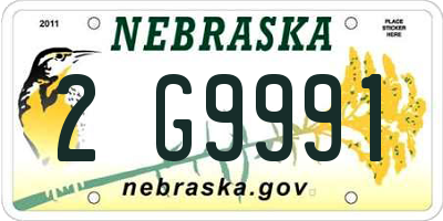 NE license plate 2G9991