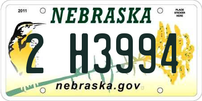 NE license plate 2H3994
