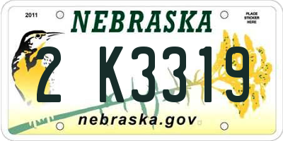 NE license plate 2K3319
