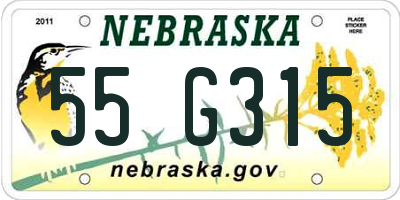 NE license plate 55G315
