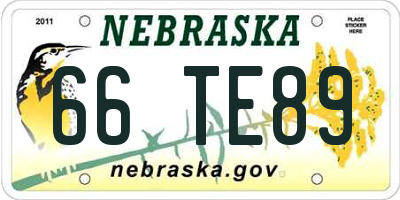 NE license plate 66TE89
