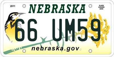 NE license plate 66UM59