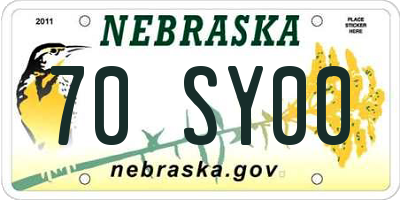 NE license plate 70SY00