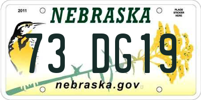 NE license plate 73DG19