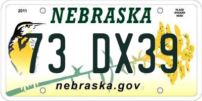 NE license plate 73DX39
