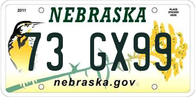 NE license plate 73GX99