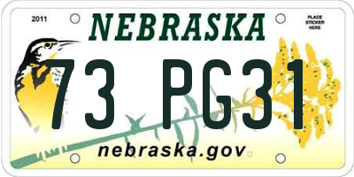 NE license plate 73PG31