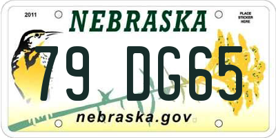 NE license plate 79DG65