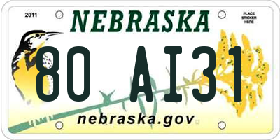 NE license plate 80AI31