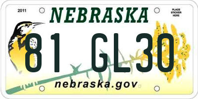 NE license plate 81GL30