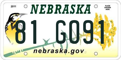 NE license plate 81GO91
