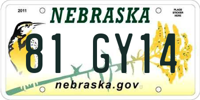 NE license plate 81GY14