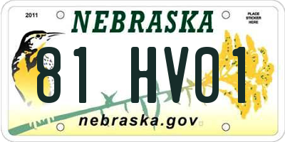 NE license plate 81HV01