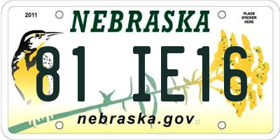 NE license plate 81IE16